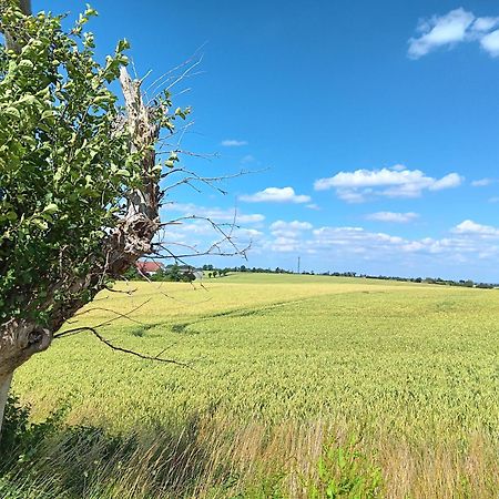 Roter Milan Lägenhet Kaisitz Exteriör bild