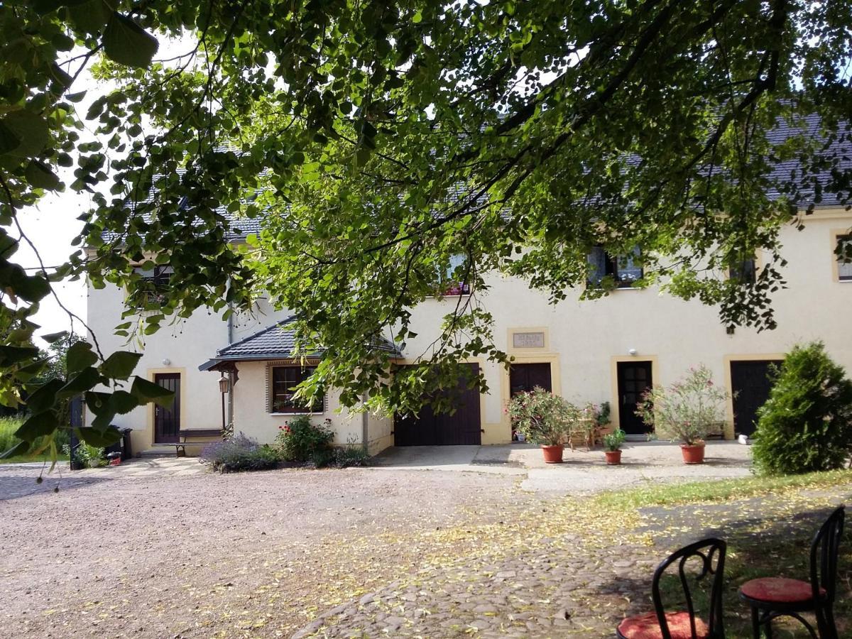 Roter Milan Lägenhet Kaisitz Exteriör bild