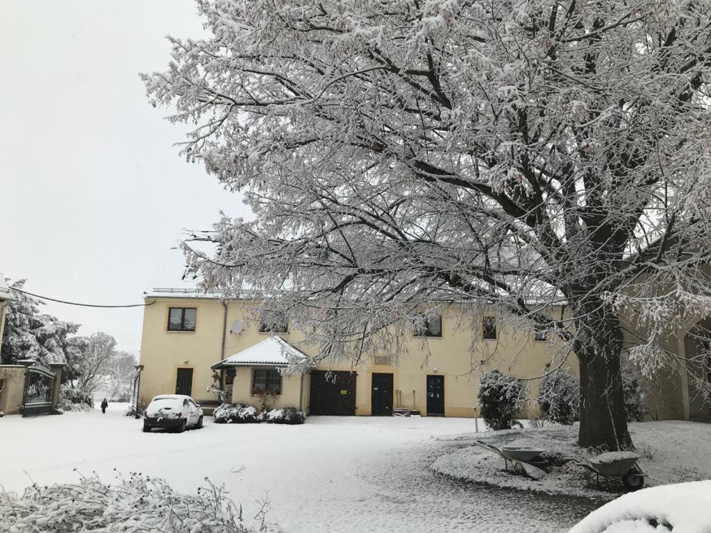 Roter Milan Lägenhet Kaisitz Exteriör bild