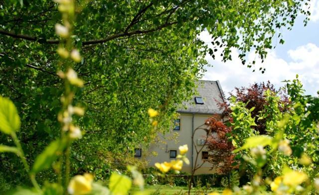 Roter Milan Lägenhet Kaisitz Exteriör bild